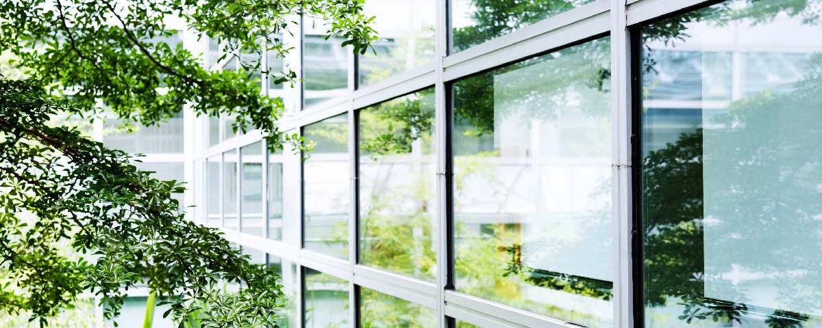 Et stort vindue med reflekterende glas omgivet af grønne planter.